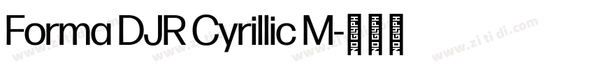 Forma DJR Cyrillic M字体转换 Forma DJR Cyrillic M字体转换